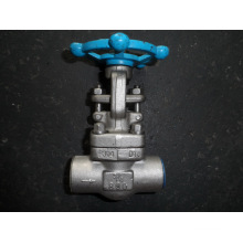 Class800 Ss Gate Valve Forged F304 3/4"